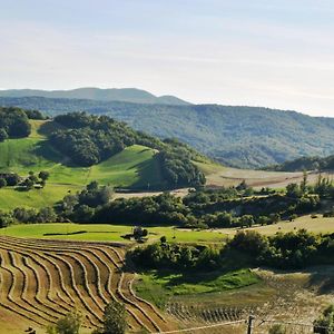 Casa Stefania, Appartamento In Collina